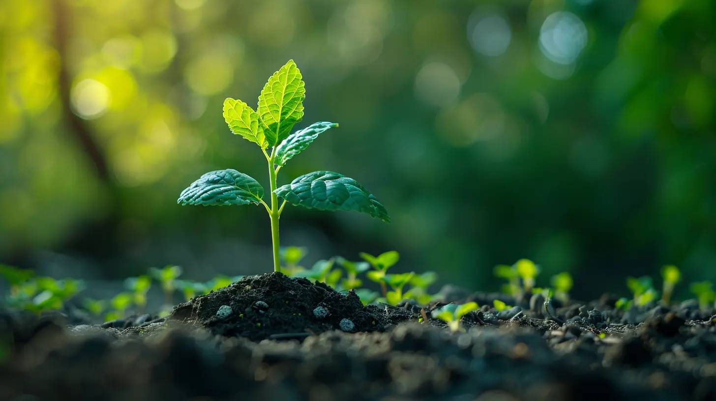 Crafting a Plan to Transition from Growth to Sustainable Profit