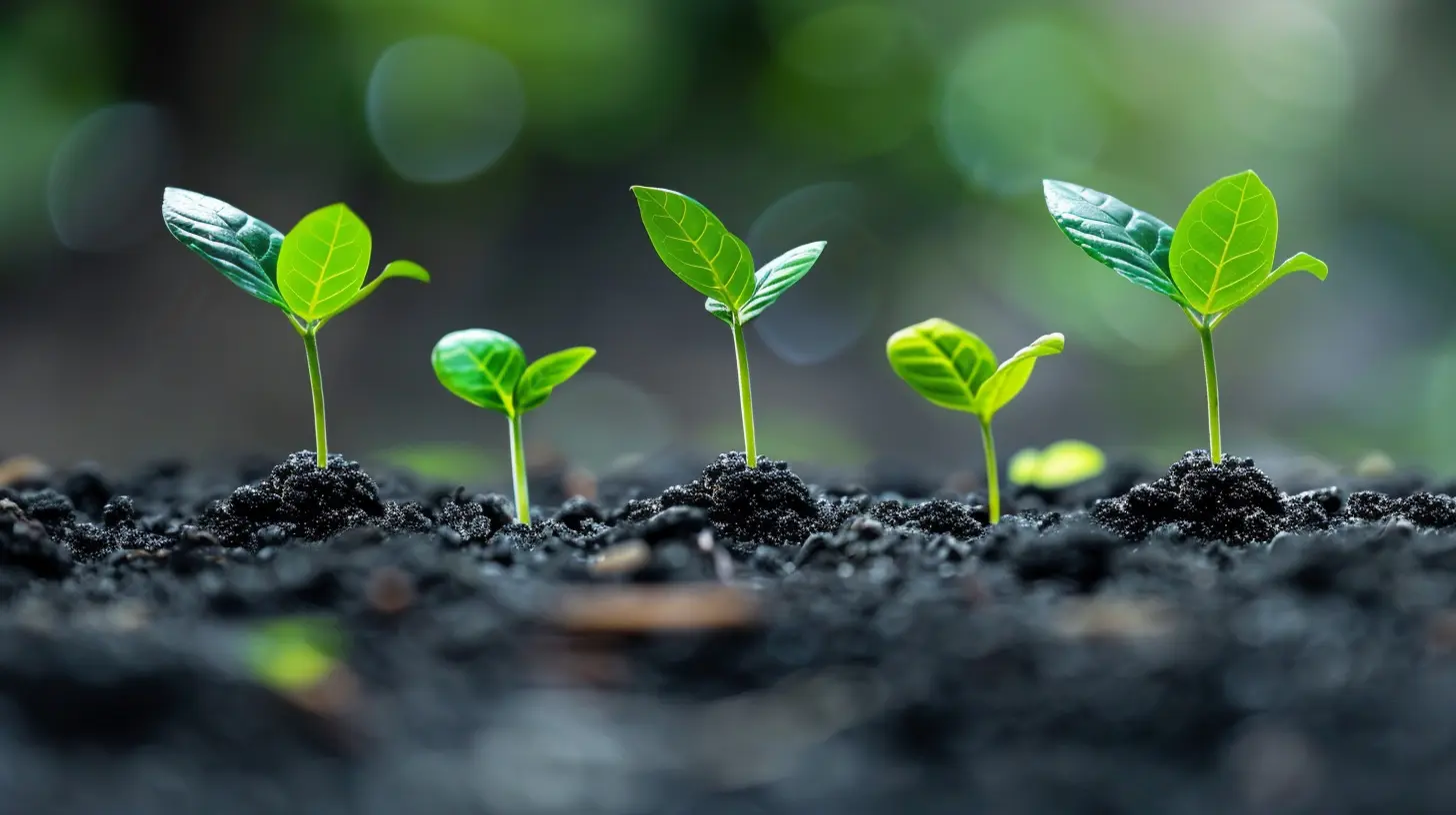 Implementing Subscription Models for Sustainable Growth in E-Commerce