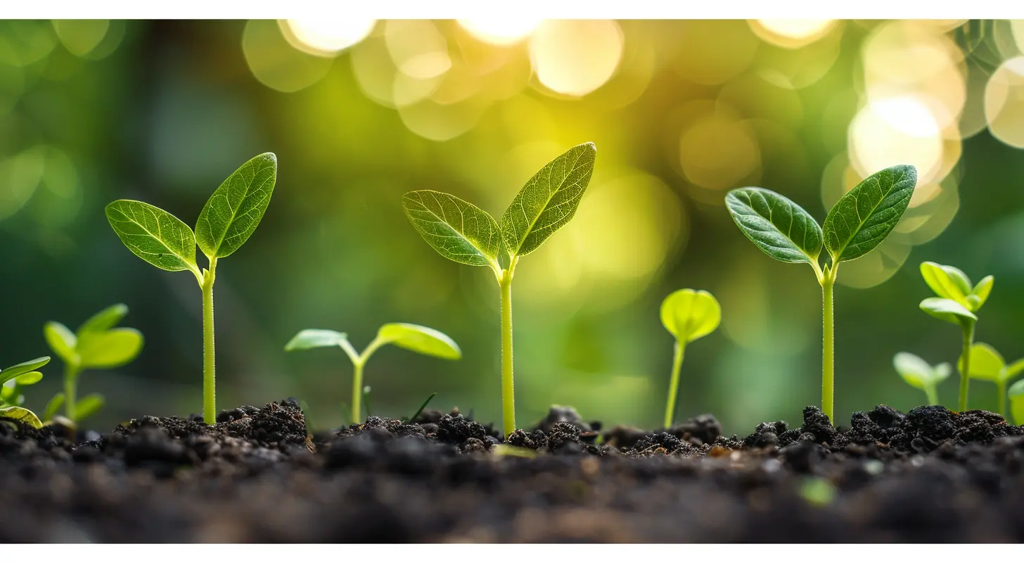 Implementing Subscription Models for Sustainable Growth in E-Commerce