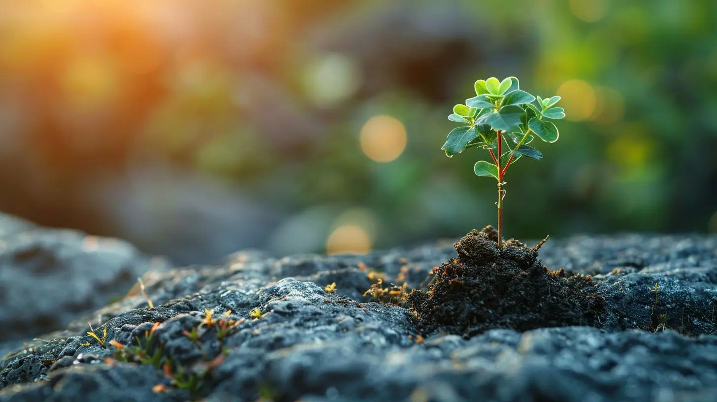 Long-Term Profitability Through Sustainable Business Practices