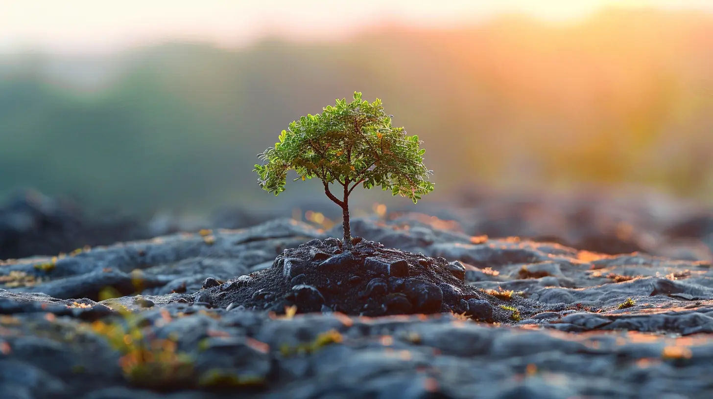 Why Business Coaching Is an Investment, Not an Expense