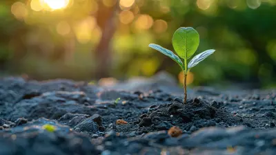 Business Coaching Strategies for Increasing Revenue