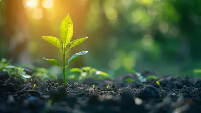 Business Planning for Socially Responsible Ventures