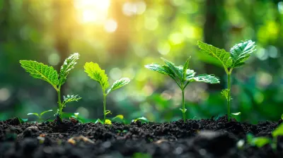Crafting a Plan to Transition from Growth to Sustainable Profit