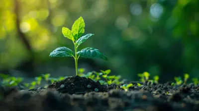 Crafting a Plan to Transition from Growth to Sustainable Profit