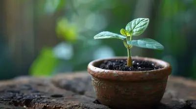 Crafting a Plan to Transition from Growth to Sustainable Profit