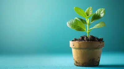 Exploring Subscription-Based Business Models for Growth