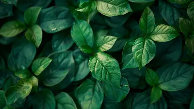 Greenwashing: The Ethical Implications of Fake Sustainability Claims