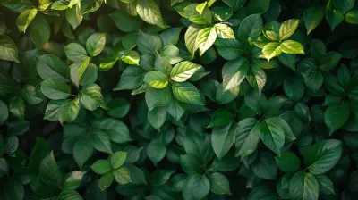 Greenwashing: The Ethical Implications of Fake Sustainability Claims