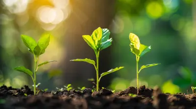 How Business Coaching Creates Sustainable Growth Strategies