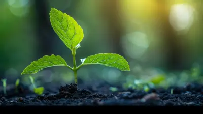 Planning for Sustainable Profitability in Your Business