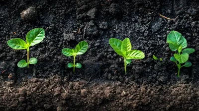 SaaS Business Models: The Recipe Behind Continuous Growth