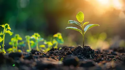 The Power of Ethical Investment: Benefits Beyond Profits