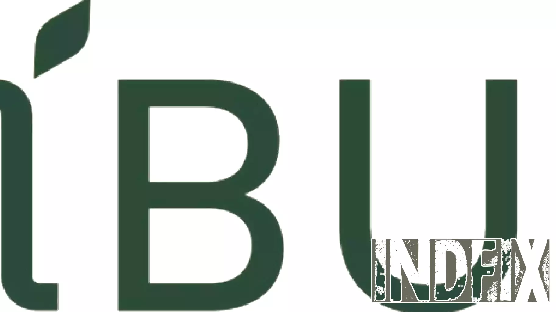 Cibus Reports Fourth Quarter Financial Results and Provides Business Update