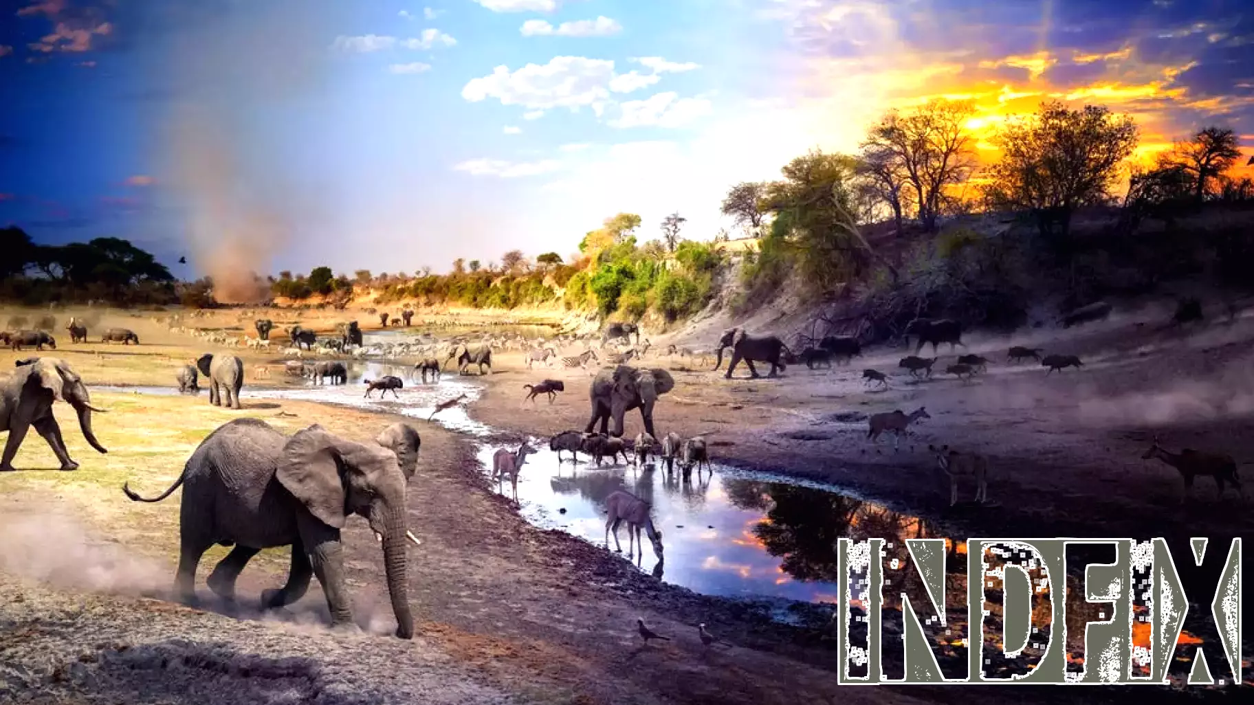 National Geographic Showcases Breathtaking Wildlife Photography in Annual Issue