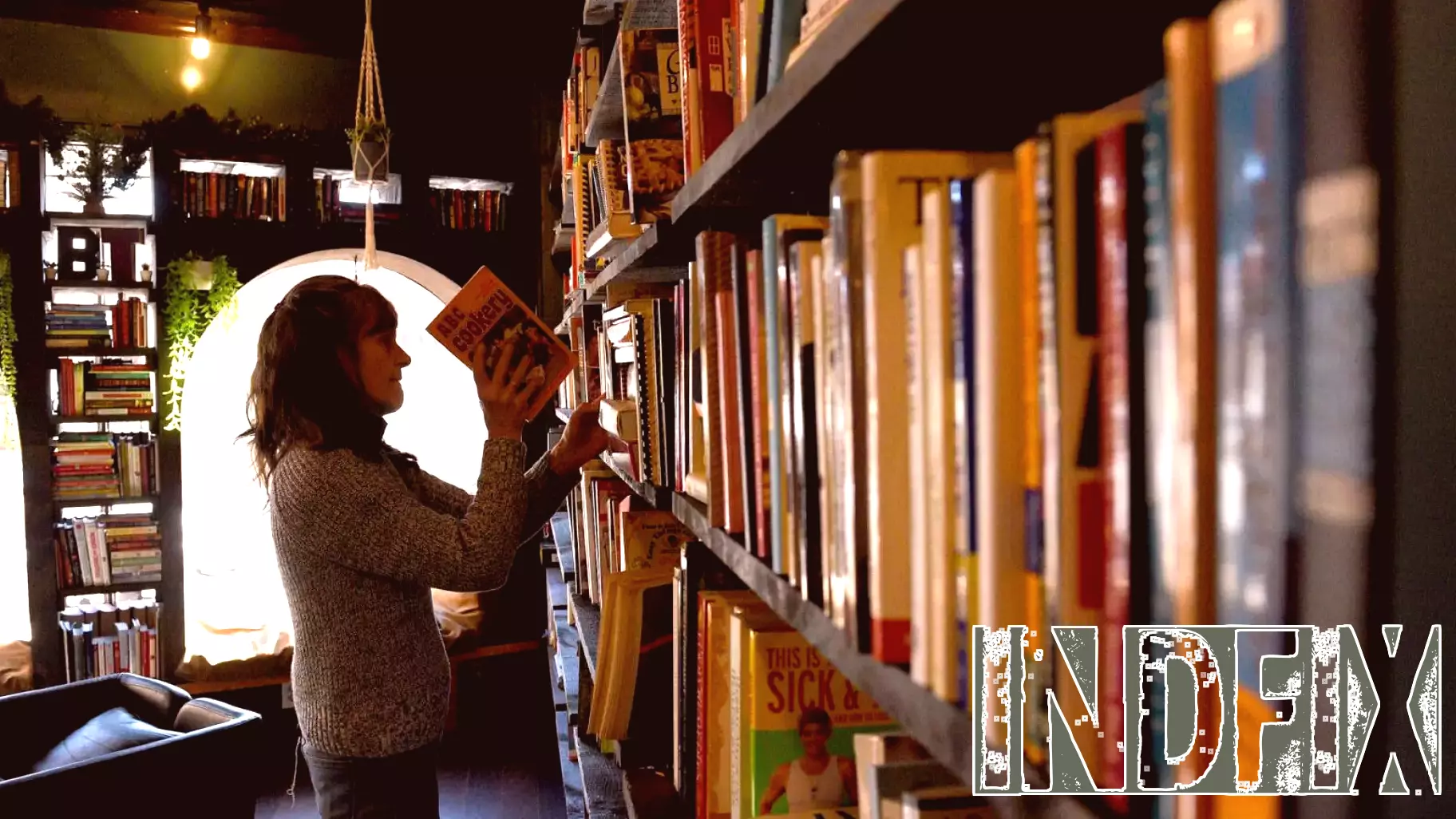 New Used Bookstore Opens in Nashua, Offering a Community Space