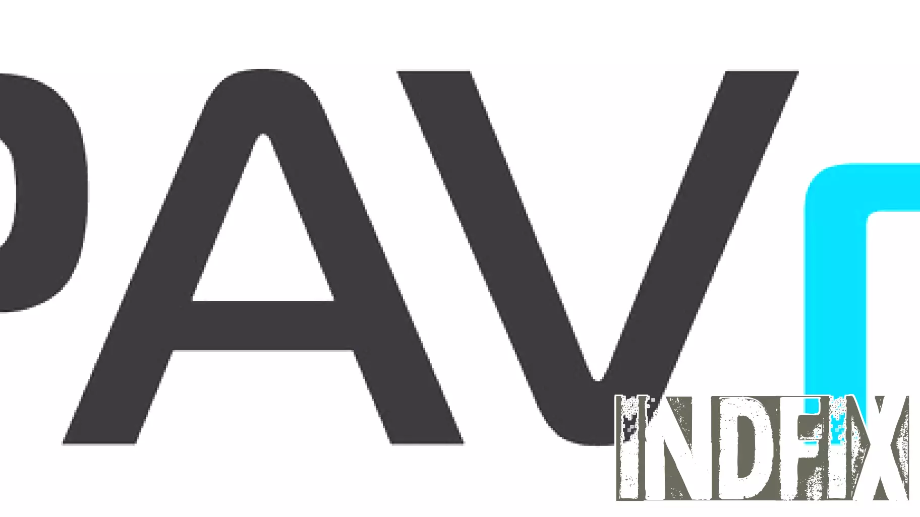 PAVmed Announces Financial Results and Business Developments for 2024