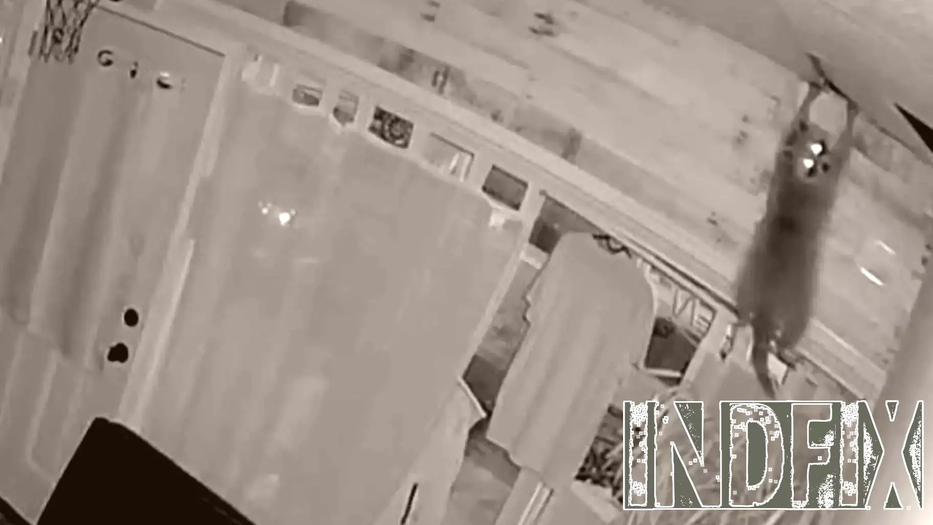 Raccoon crashes through ceiling of Allegheny County business, leaving owner with canceled orders