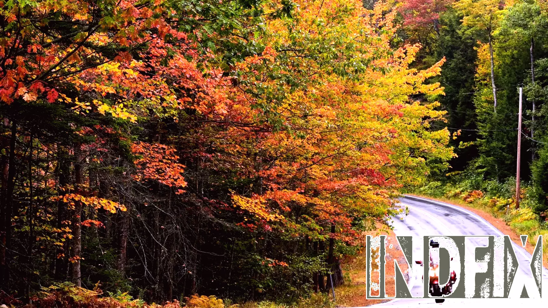 Watch Out for Door-to-Door Repair Scams This Fall