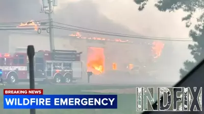 Lacey Township Business Devastated by Wildfire
