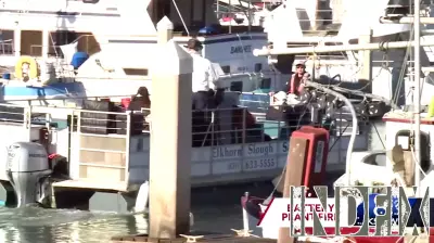 Local Businesses in Moss Landing Face Sales Decline After Battery Facility Fire