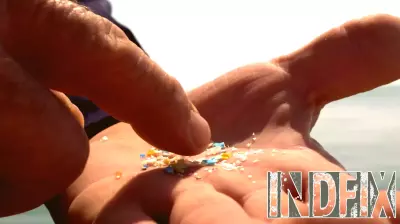 Study Reveals Presence of Microplastics in Human Brains