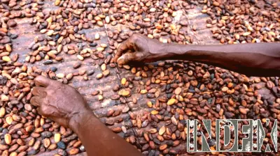 Unveiling Tony’s Chocolonely’s Efforts to Combat Cocoa Supply Chain Abuse