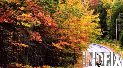 Watch Out for Door-to-Door Repair Scams This Fall