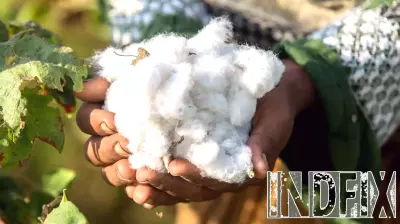 Why Nature Investment Makes Business Sense Now